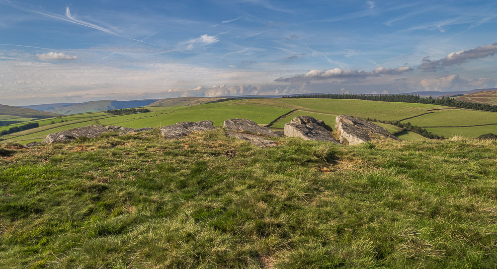 Bridge-end Pasture